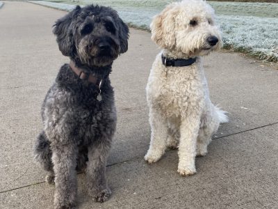 Doodles Lientje & Moos Speeddate met Esther