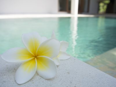 De heerlijk ruikende en mooie en Frangipani Speeddate met Esther